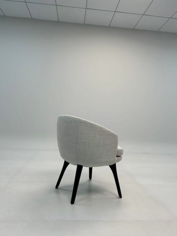 Modern Dining Arm Chair